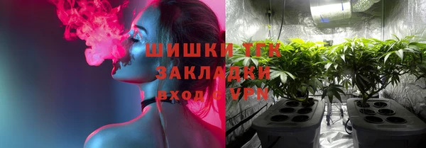 прущий лед Пересвет