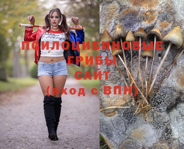 гашик Алзамай