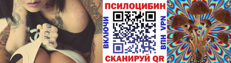 Псилоцибиновые грибы прущие грибы  Краснознаменск 